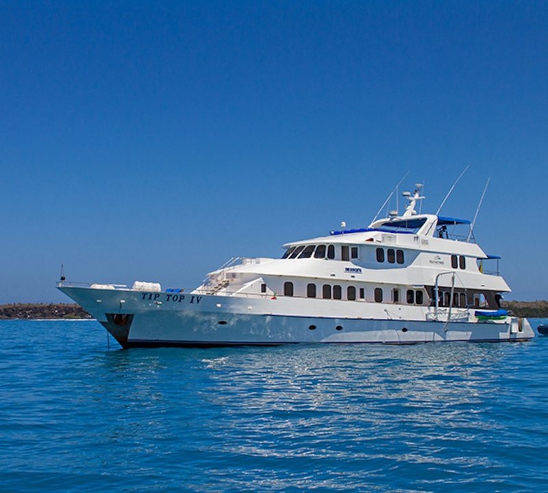 TIP TOP IV Yacht Charter Details, Custom CHARTERWORLD Luxury Superyachts